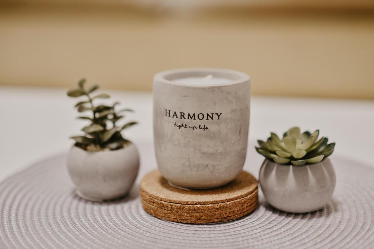 City Center - Harmony Apartments サラエヴォ エクステリア 写真